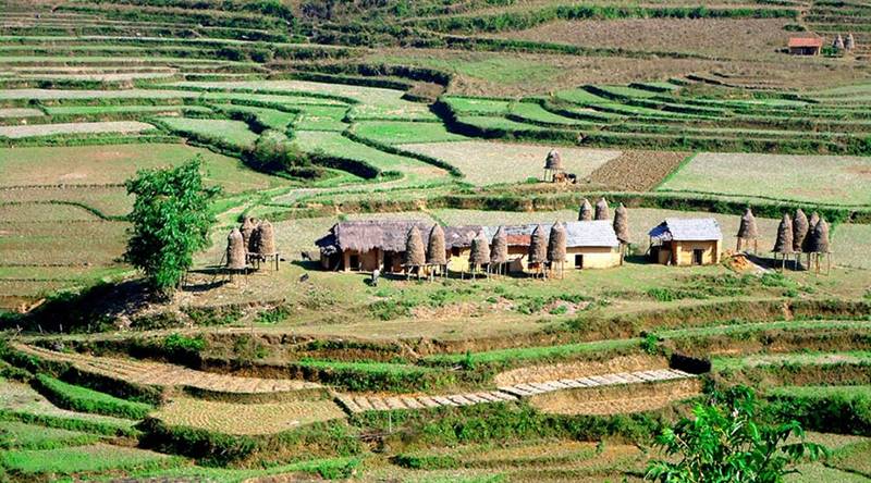 Mu Cang Chai - Yen Bai